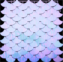 Shimmer Wall Leque - Azul